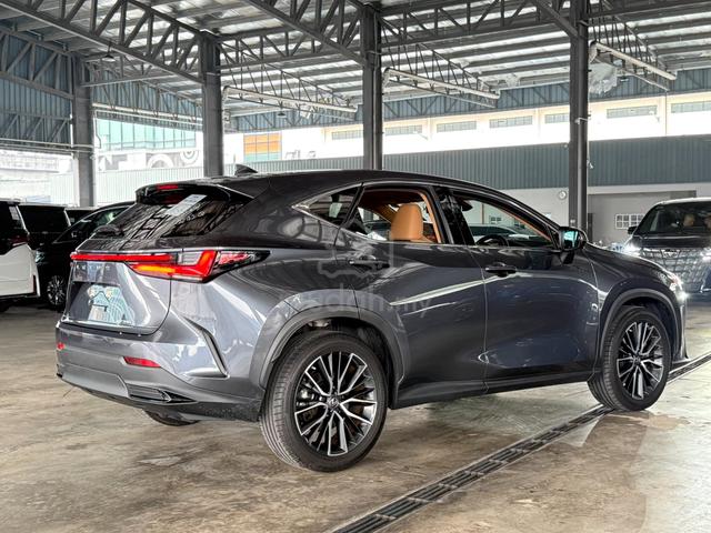 Lexus NX250 LUXURY Grey Color Rare Low Mileage - 4