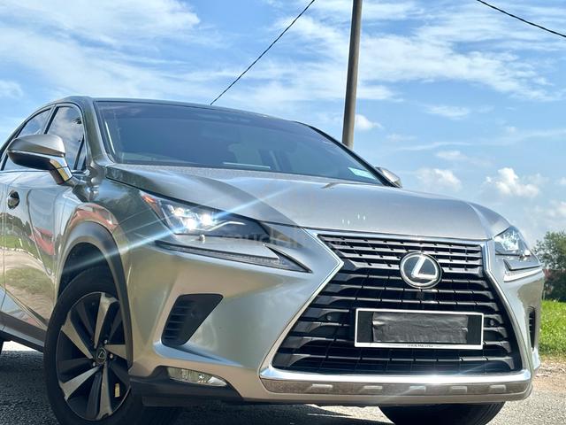 2018 Lexus NX300 2.0 URBAN (A) / GOOD CONDITION - 3