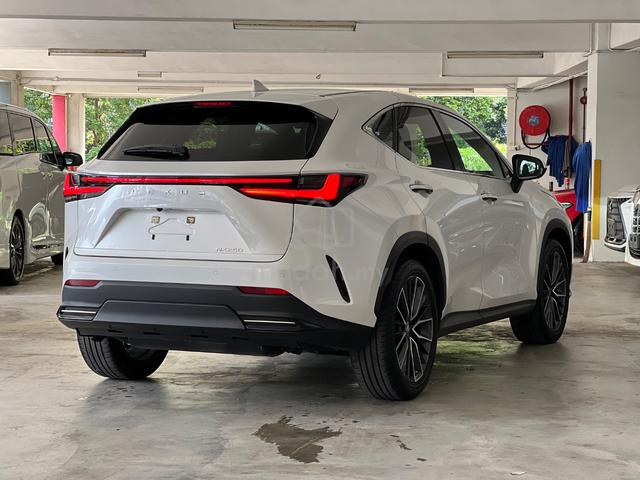 LIMITED OFFER UNREG 2023 Lexus NX250 2.5 VERSION L - 4