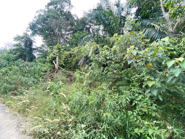 FREEHOLD 3.9 acres Residential Land Desa Vista Sepang 4