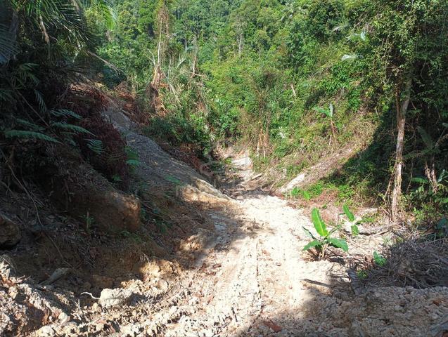 22 Ekar Tanah, Geran Individu, 8km ke Kedah Rubber City, Padang Terap 1