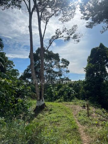 Land for Sale 1