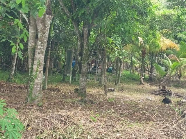 Land For Sale Near Sungai Alo Beach Mukah 1