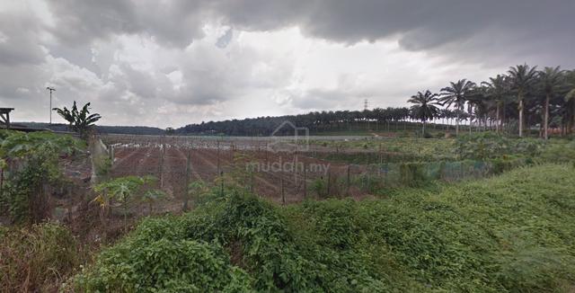 Tanah untuk dijual – Sinaran Baru, Tebrau, Johor Bahru 1