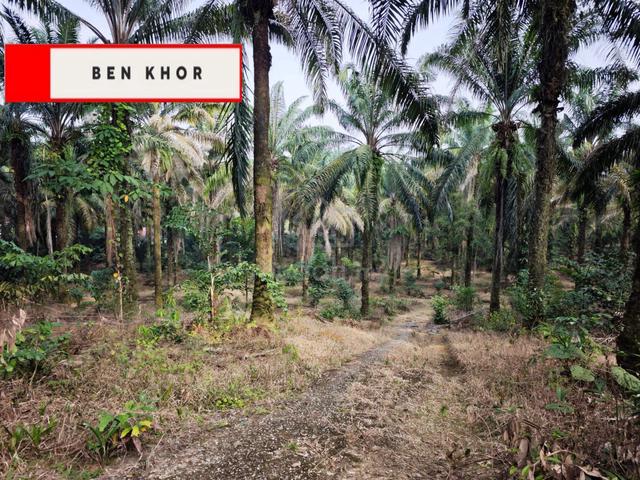 2.67 Acres | Agricultural land | Main road | Bukit Teh | BM | PENANG 1