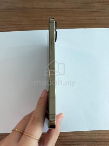 Apple iPhone 13 Pro Max 256 GB - photo 3 of 4