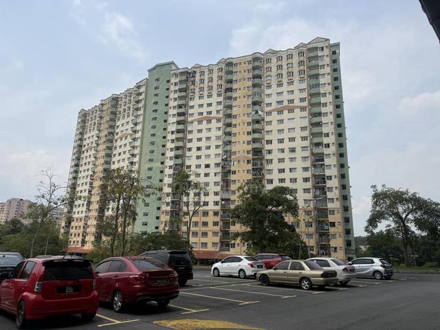Desaminium Rimba 1