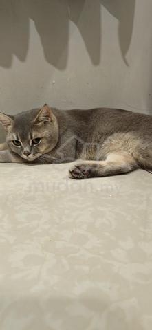 Carousel Image
