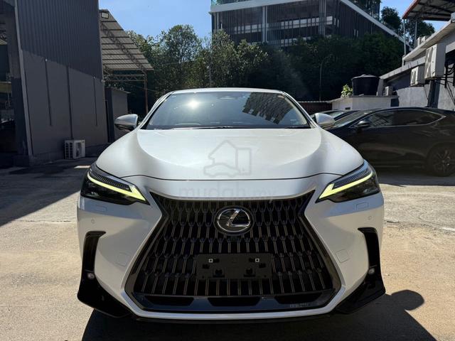 2022 Lexus NX 250 2.5 LUXURY (A) BROWN HUD BSM DIM - 2