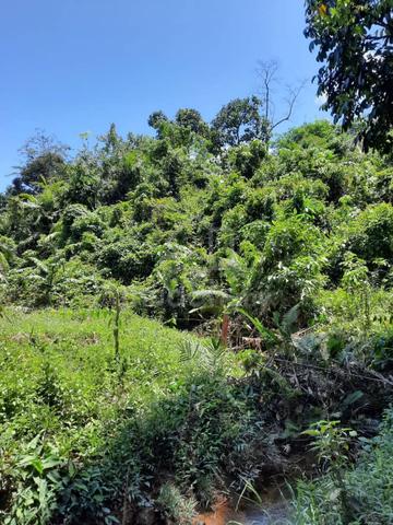 Tanah Kosong Agriculture 5.56 ekar Kg Bt9 Kuala Lipis Freehold 3