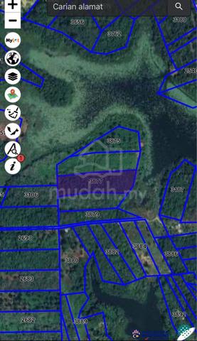 Tanah Getah Sauk Tepi Tasik Chenderoh 2