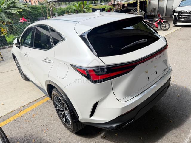 2023 Lexus NX 250 2.5 Standard Red Leather 4.5 Urg - 5