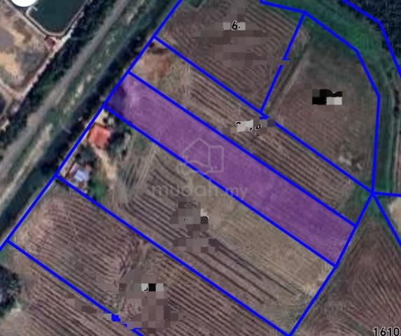 Tanah Bendang Status Kampung Rapat Minitar di Merbuk 1