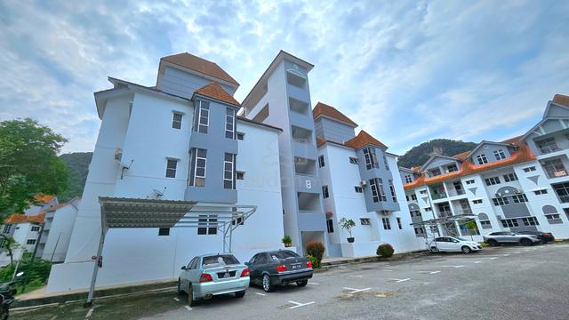 Alpine Village Apartment 2