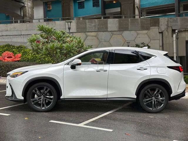 RECON 2022 Lexus NX250 219K ONLY READY STOCK OFFER - 2