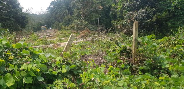 Tanah 2.83 Ekar Untuk Kediaman dan Pertanian Di Kuala Pilah 3