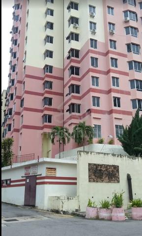 Kingfisher Series Condominium 1
