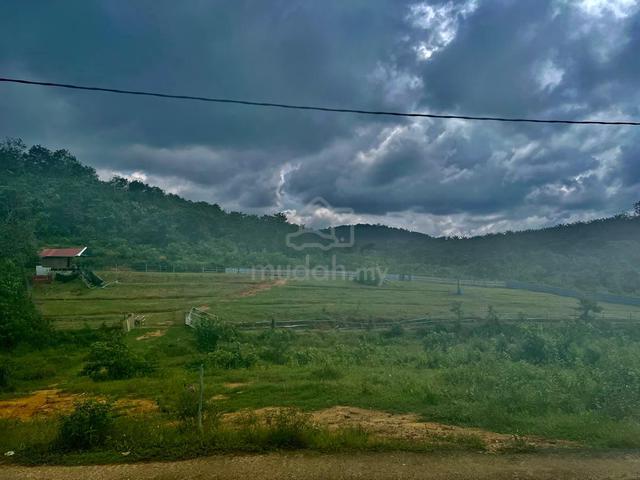 Tanah ladang untuk disewa, tanah siap dibersihkan. 3