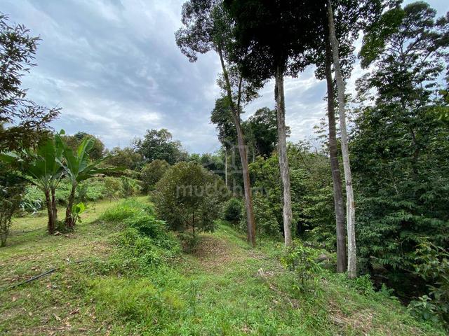 Tanah murah ada anak sungai , pokok durian di Hulu Langat utk dijual‼️ 1