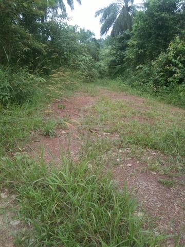 6 Ekar Tanah Kosong Kg Tebing Tinggi Segamat Johor 1