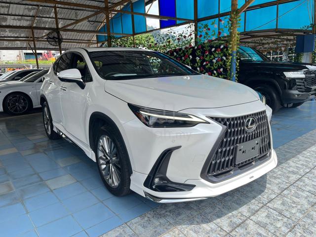 2022 Lexus NX 250 2.5 VERSION L GRADE 5A MODELLIST - 1
