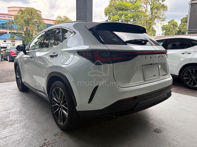 2023 Lexus NX 250 2.5 LUXURY 5A/360CAM - 3