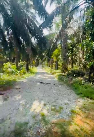 5.17 EKAR TANAH PERTANIAN | 2 GERAN | NON BUMI | Kota Tinggi Johor 1
