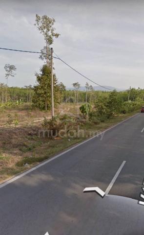 Tanah Getah Di Kampung Gajah Puteh Jeneri Sik 3