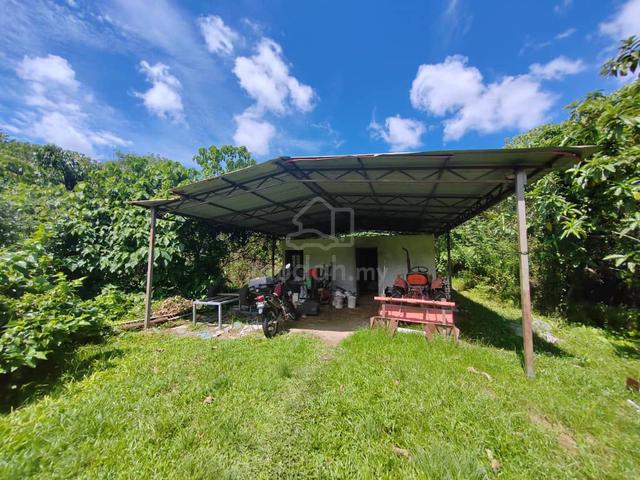 Balik Pulau Freehold Flat Land For Sale 2