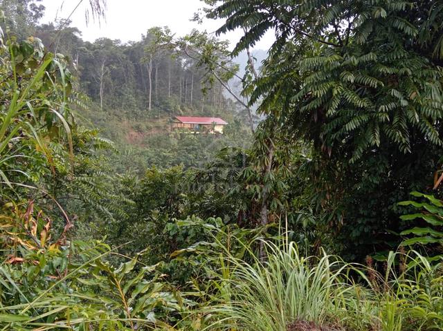 Land in Kg. Marakau, Ranau with Provisional Lease (PL) title 1