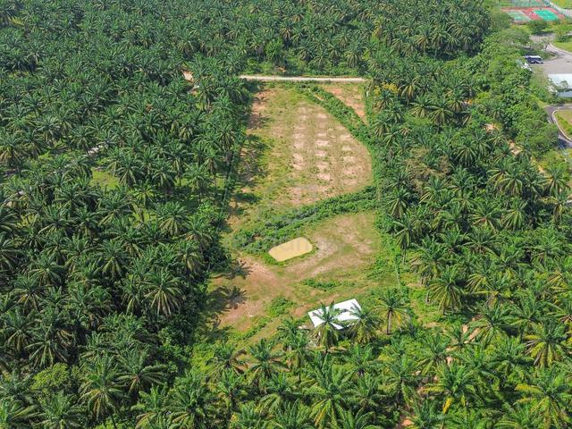 FLAT LAND + 3 ACRE❗️Agricultural Land, Rembau, Negeri Sembilan 4