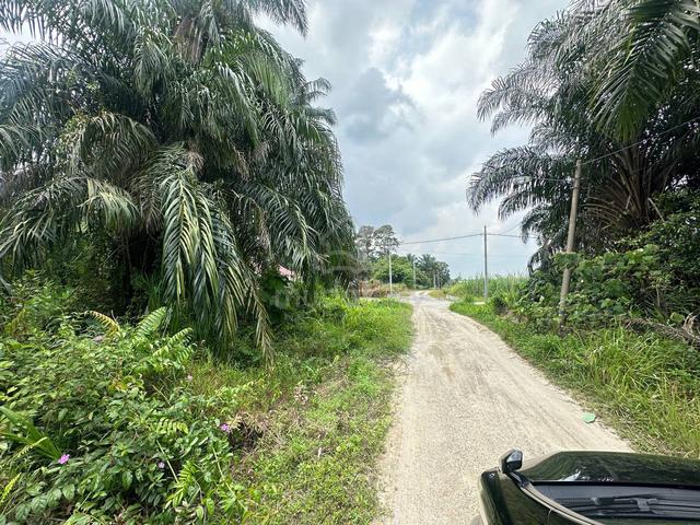 Agriculture Land Zoning Residential near Puncak Alam 1