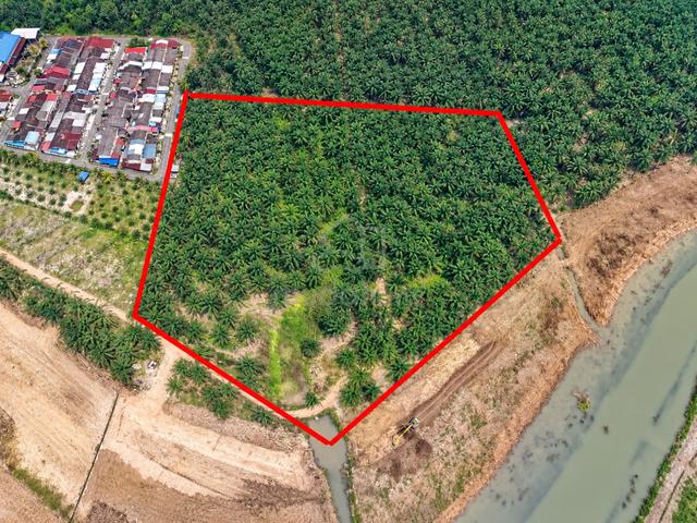 Agri Land For Sale @ Seri Medan 1