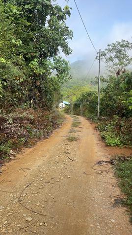 Tanah Pertanian 3.3 Ekar atas Bukit di Tanjung Ipoh, Kuala Pilah 5