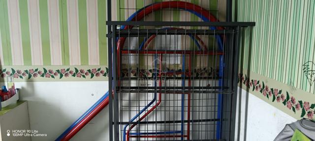 Carousel Image