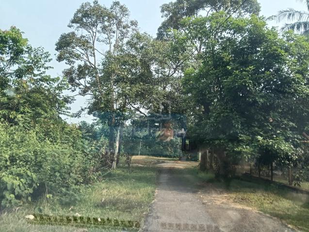 Tepi jalan utama Siliau 1