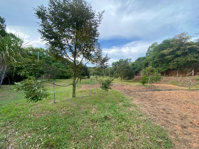 Agricultural Land Beside SPA Highway With Access Cheng Melaka 1