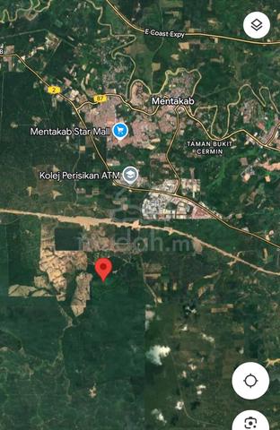 Mentakab 500acres land suit for Oil Palm, Rubber, Durian, fruits etc 1