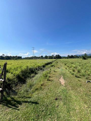 THE CHEAPEST FREEHOLD NON BUMI Land 7.125 Acre Beranang Semenyih 1