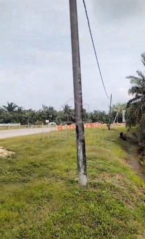 Tanah Pertanian Pontian Johor 1
