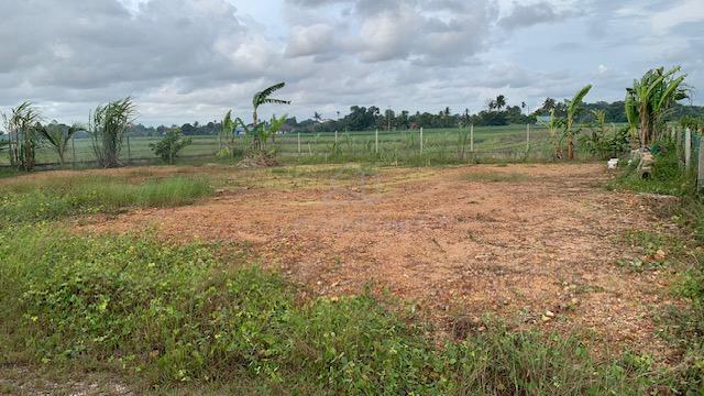 (STRATEGIC BEST LOCATION!) Tanah untuk disewa .lokasi kepala batas 1