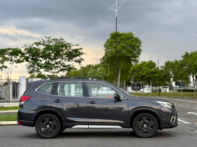 2019 Subaru FORESTER 2.0I-S (A) CHEAPEST CAR KING! - 3