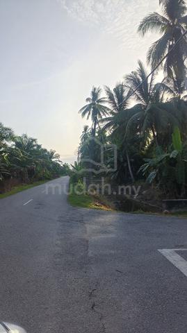Sabak Bernam Selangor 2