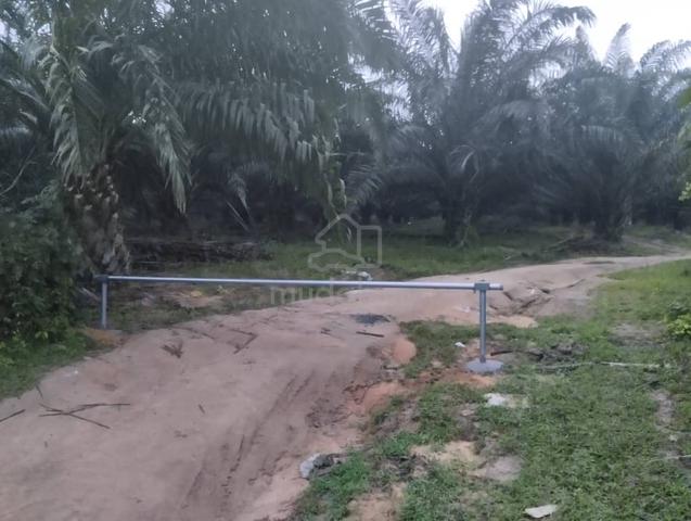 [FREEHOLD] Jasin Machap Baru Selandar Agriculture Land @ Melaka Tengah 1