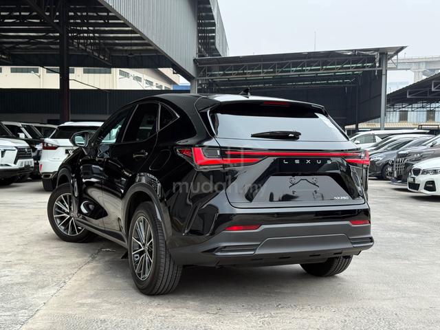 2023 Lexus NX250 2.5 LUXURY Sunroof/Nego Til Let G - 2