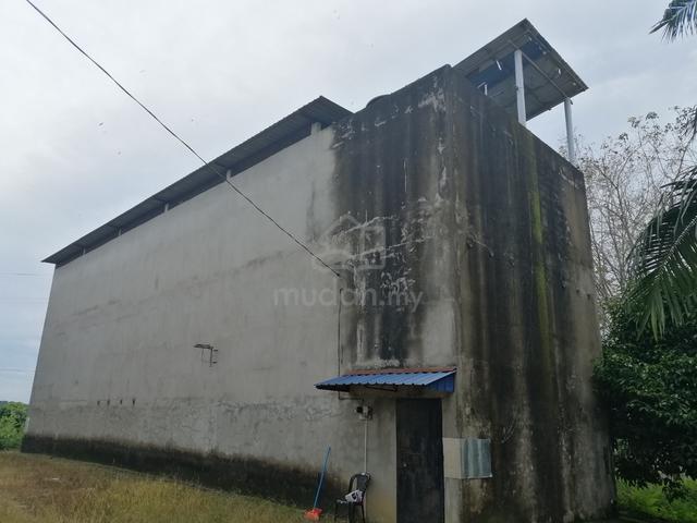 Swiftlet Birdhouse For Sale 1
