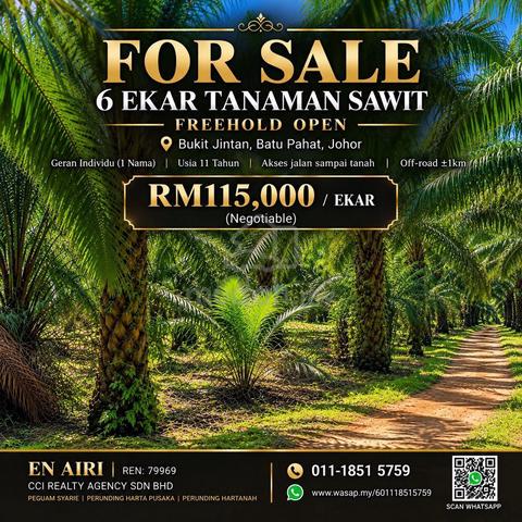 6 Ekar TANAMAN SAWIT FREEHOLD OPEN DI BATU PAHAT 1