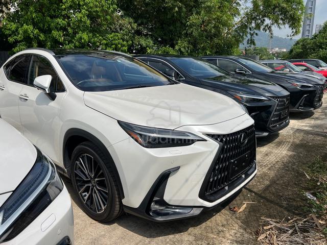 MERDEKA SALES 2023 Lexus NX250 2.5 LUXURY - 2