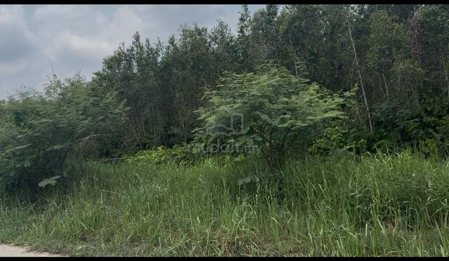 Tanah untuk di sewa  Ayer Hitam Parit Juno 1