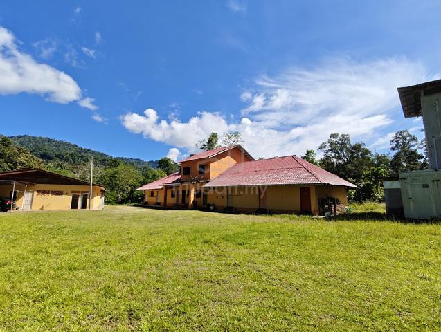 Guesthouse Tasik Kenyir  1